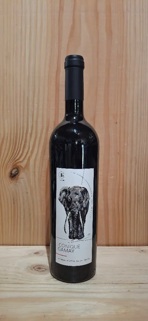 Novelle Iconique Gamay 2022 VPS 14% 75cl