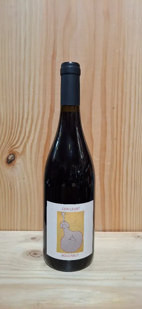 Boucarut Coa Levat 2023 VdF 12% 75cl