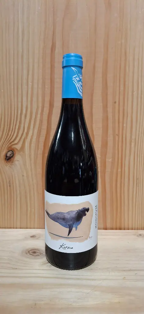 Domaine des Albatros Karma 2024 AOP Vin de Savoie 10% 75cl