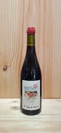 Domaine Rostaing-Tayard Le Coeur Des Hommes 2021 Coteaux du Lyonnais AOP 13.5% 75cl