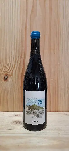Domaine Rostaing-Tayard Ultreia 2023 Coteaux du Lyonnais AOP 13.5% 75cl