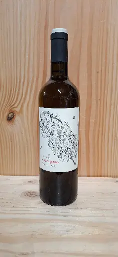 Domaine Castéra Autres Pentes 2024 Jurançon sec AOC 13,5% 75cl